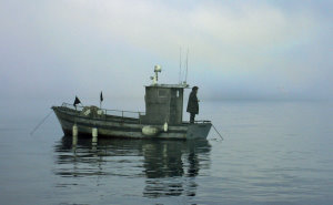 La fine del mare